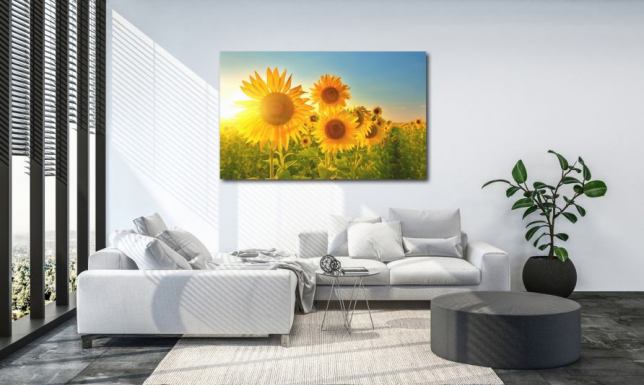 Obrazy słoneczniki - dekoracja na ścianę