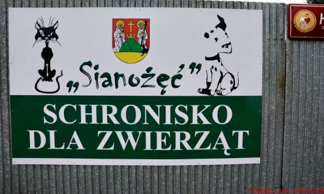 Miasto Suwałki przejmie prowadzenie schroniska Sianożęć