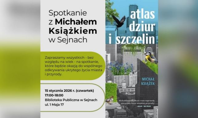 Czy krawężnik może decydować o losie drzewa?