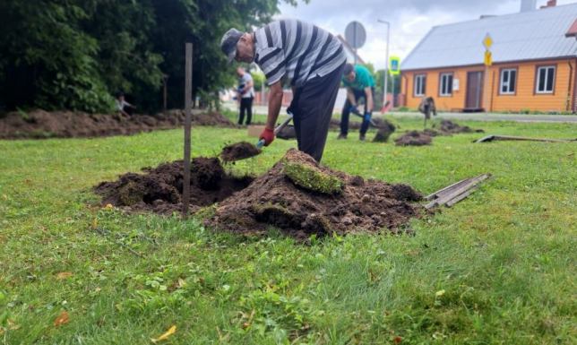 Weź udział w pracach wykopaliskowych na terenie Sejn Sejneńskie sukiennice ponownie w centrum uwagi