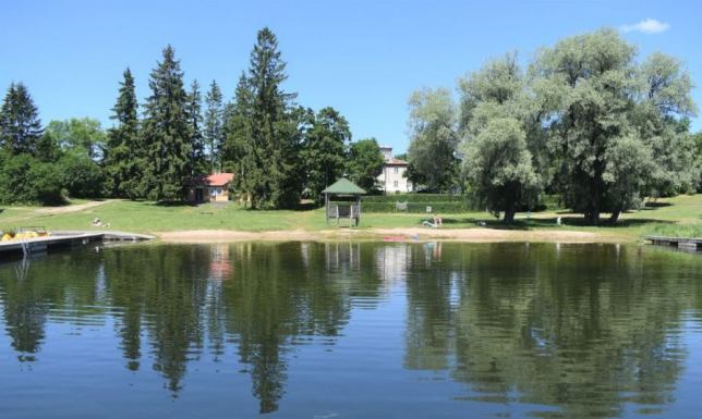 Sinice na Suwalszczyźnie. Zakwity w jeziorach Wigry i Hańczy.