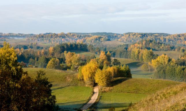 SPK budowa wież widokowych i parkingu