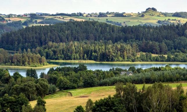 Wycieczka piesza w SPK Suwalski Park Krajobrazowy zaprasza na pieszą wycieczkę