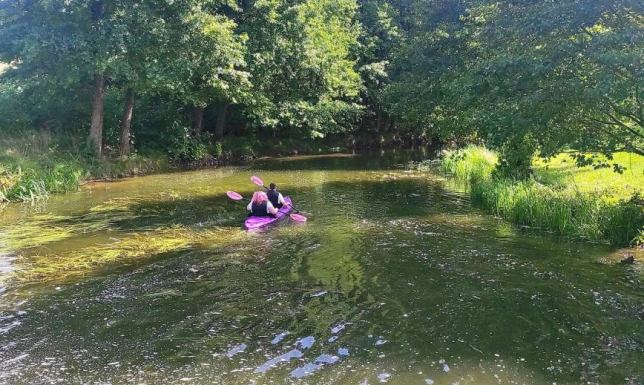 Płyniemy rzeką Rospudą na odcinku Małe Raczki - Chodorki 