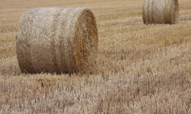 program usuwania odpadów rolnikom