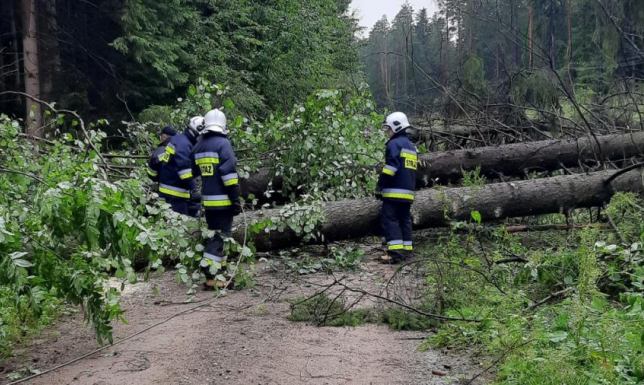 strażacy jednostek ochrony przeciwpożarowej z powiatu suwalskiego interweniowali 37 razy