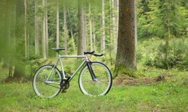 Dlaczego czasem jedzie się „lżej”, a czasem „ciężej” – o odczuciach z jazdy rowerem