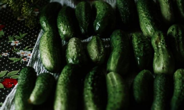 Kalendarz sezonowego przetwórstwa - kiedy jest czas na kiszonki?