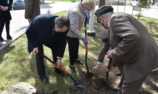 Posadzili świerki wyhodowane z nasion poświęconych przez Papieża Franciszka