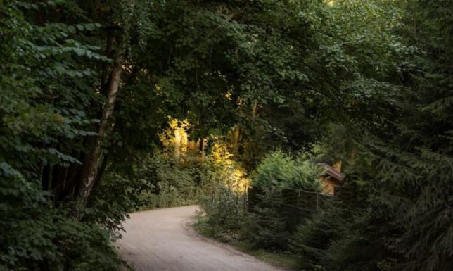 Drogowskazy na szlakach turystycznych Suwalskiego Parku Krajobrazowego