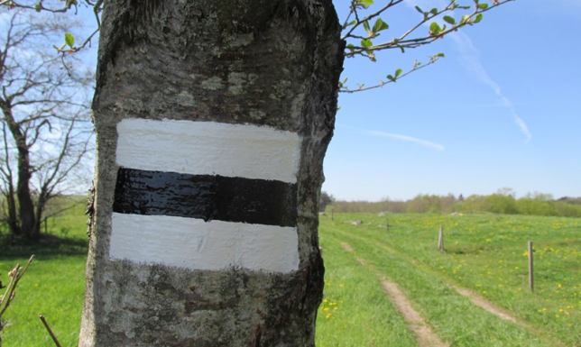 Suwalski Park Krajobrazowy, odnowienie pieszych szlaków