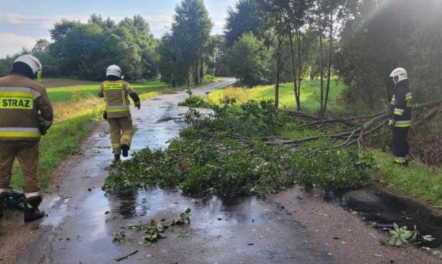 Skutki nawałnicy w regionie 20 interwencji strażaków z powiatu suwalskiego