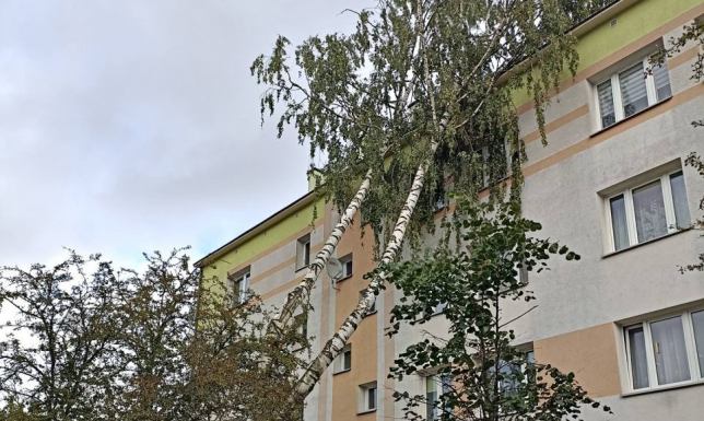 strażacy wyjeżdżali w dniach 6-8 października do interwencji 54 razy