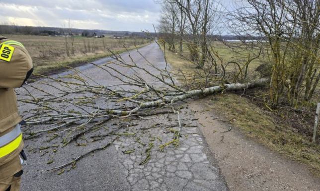 40 interwencji strażaków w związku z usuwaniem skutków silnego wiatru