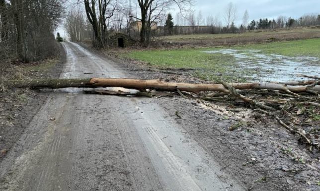 Zerwane dachy i powalone drzewa w powiecie suwalskim Skutki wichury w powicie suwalskim
