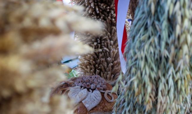Zadanie konkursowe polega na przygotowaniu wieńca dożynkowego