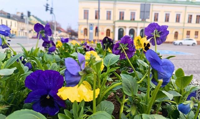 w Suwałkach już trwają przygotowania do sezonu wiosenno-letniego