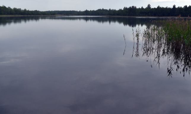 Teren zabezpiecza policja do czasu przybycia saperów