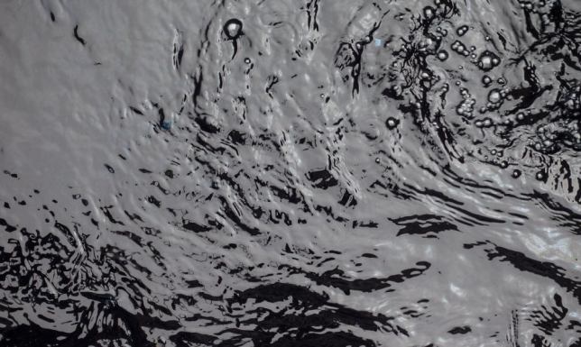 Do tragedii doszło w miejscowości Nieszki, w gminie Bakałarzewo