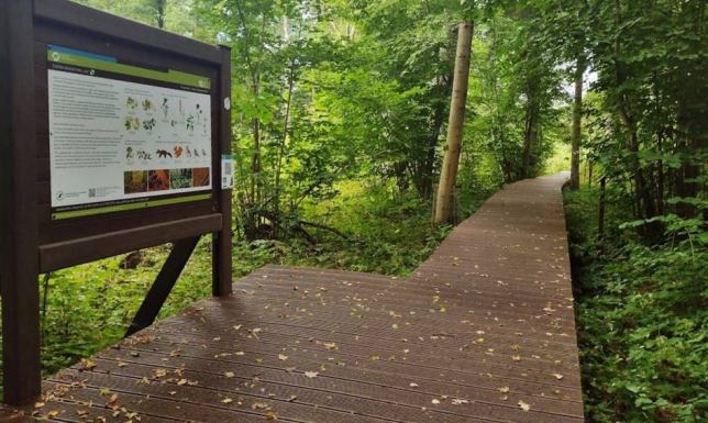 Wigierski Park Narodowy otrzymał dofinansowanie z projektu „Obszar chroniony, obszar dostępny”