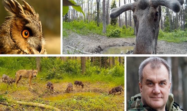 spotkanie online z popularyzatorem przyrody Marcinem Kostrzyńskim