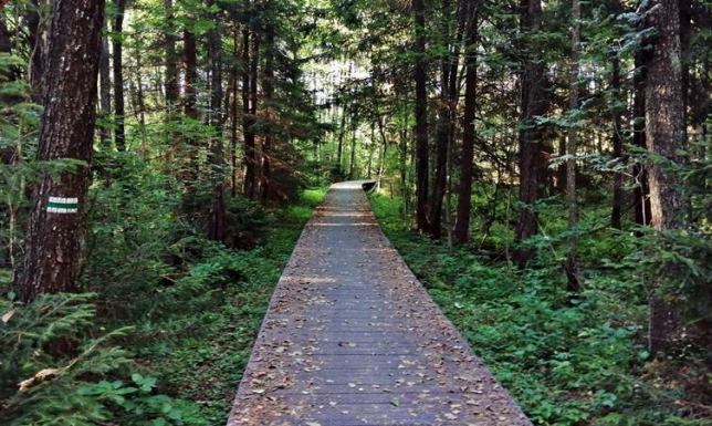 Do Wigierskiego Parku Narodowego już nie wejdziemy