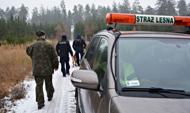 przestępstwa związane z kradzieżami oraz niszczeniem choinek