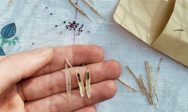 Przedwiośnie to idealny czas na przygotowanie się do nowego sezonu ogrodniczego