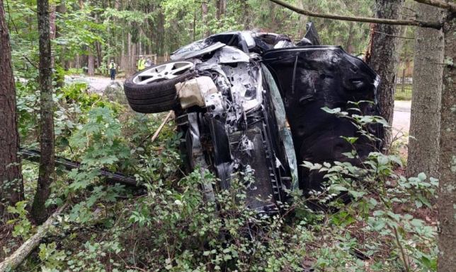 Kierowca stracił panowanie nad pojazdem i uderzył w przydrożne drzewo
