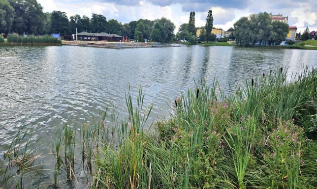 O krok od tragedii było w środę (24.06) nad Zalewem Arkadia w Suwałkach.