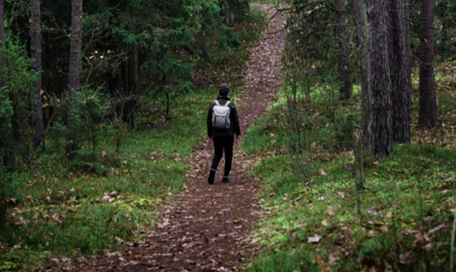 Fotografie przedstawiają Suwalszczyznę z innej perspektywy