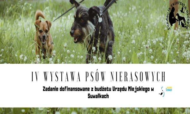 Fundacja Zwierzęta Niczyje organizuje IV Wystawę Psów Nierasowych