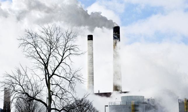 Narzędzia i metody obliczania śladu węglowego firmy