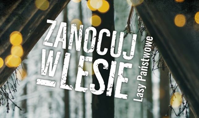 Łatwiej zanocujesz na dziko w Lasach Państwowych Lasy Państwowe, zanocuj w lesie