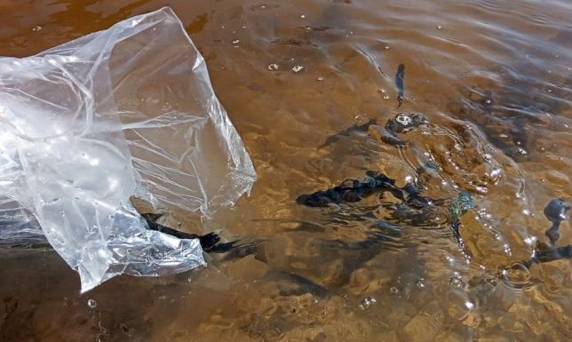 Pracownicy Wigierskiego Parku Narodowego rozpoczęli zarybienia