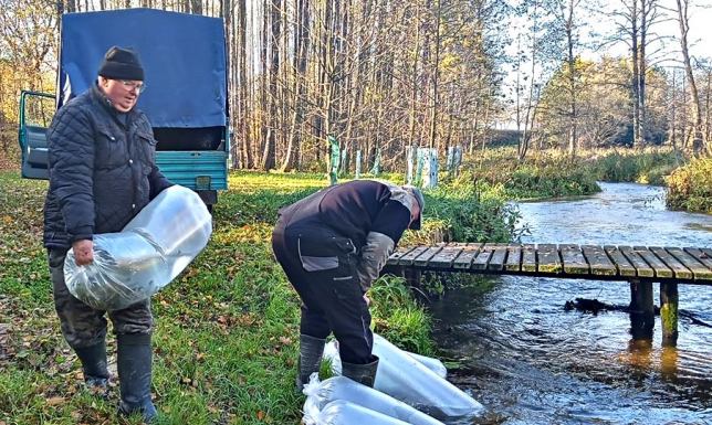 2000 sztuk troci trafiło do rzeki Czarna Hańcza