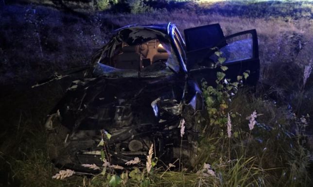 Zwierzę zginęło na miejscu, a kierowca z obrażeniami trafił do szpitala