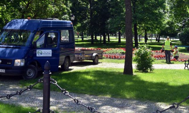 Zarząd Dróg i Zieleni w Suwałkach, wiosenne nasadzenia drzew i krzewów