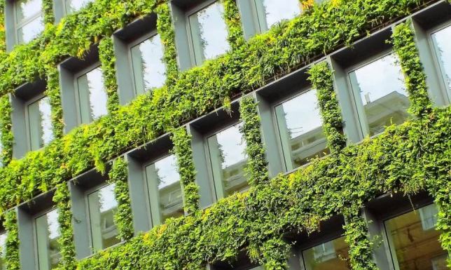 Zielone ściany i dachy, interpelacja Anny Ruszewskiej