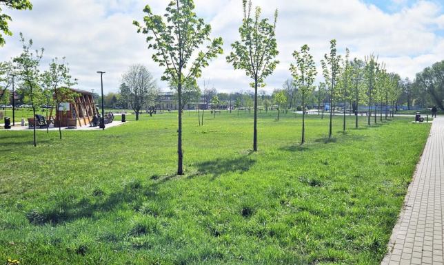  12 nowych terenów zielonych powstanie w Suwałkach