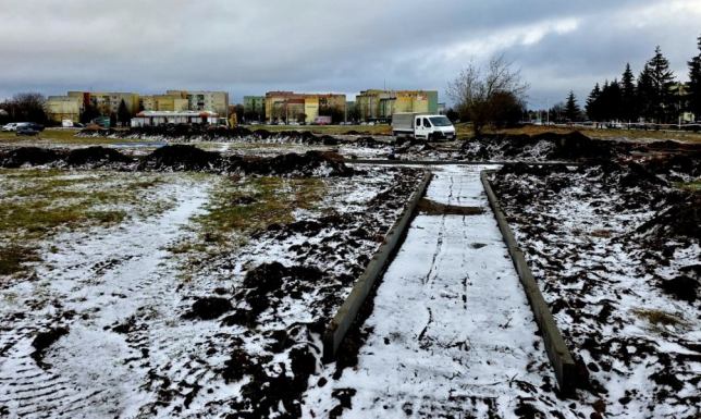 Władze miasta kontynuują realizację projektu „Zielone Suwałki”