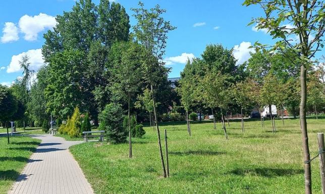 Miasto Suwałki ogłosiło postępowania na realizację dwóch nowych przestrzeni rekreacyjnych