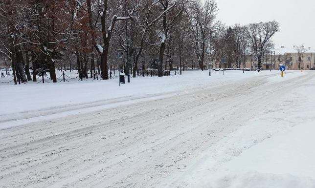 IMGW wydało ostrzeżenie pierwszego stopnia o silnym wietrze