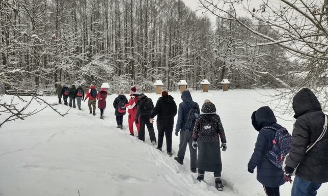zajęcia w godzinach 10.00-14.00 w siedzibie parku w Krzywem