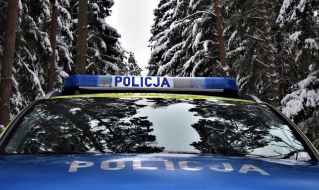 16-latek chciał pojeździć autem. Odpowie przed sądem rodzinnym wykorzystując nieuwagę matki zabrał z domu kluczyki do samochodu