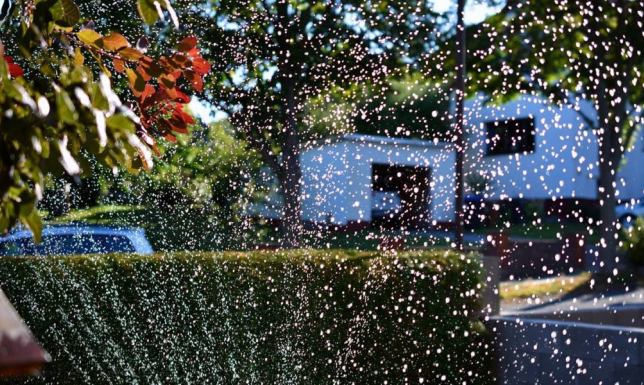 możliwość ustawienia w mieście mgławic i kurtyn wodnych