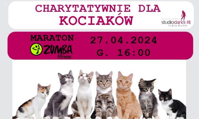 Maraton Zumby na rzecz kotów Charytatywnie dla kociaków na rzecz KOTOZ 2