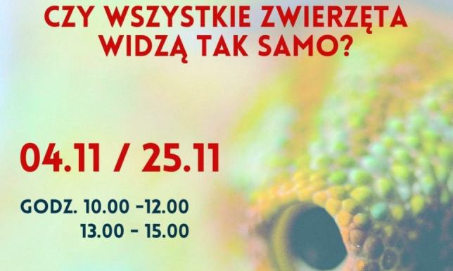Biblioteka Publiczna im. Marii Konopnickiej w Suwałkach zaprasza na tematyczne zajęcia