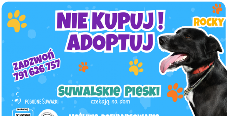 Ratusz przypomina o programie wsparcia finansowego przy adopcji