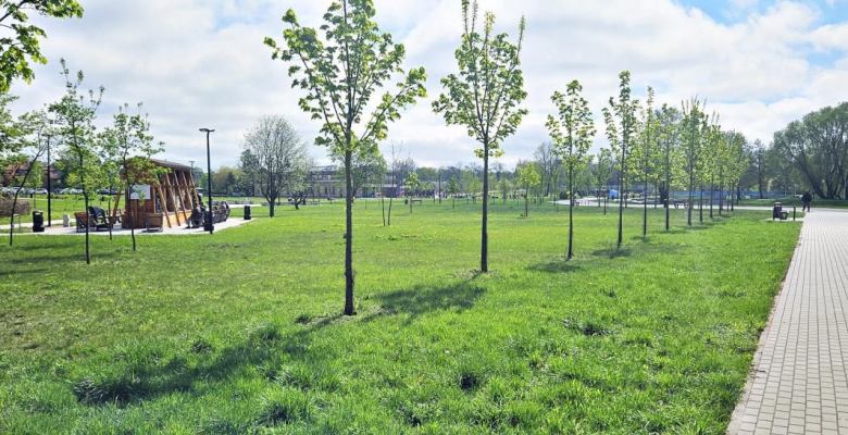 umowy na zagospodarowanie przestrzeni publicznej w mieście